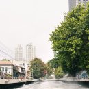 아어가지 | 태국 방콕 여행 예쁜 정원 카페 추천, 통로(Thonglor) '빠톰 오가닉 리빙' 후기