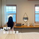 늘본 | 제주감성숙소 한경면 늘보의오후 오션뷰 펜션 후기