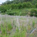 중인농장 이미지