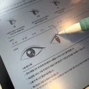 운정속눈썹 루아즈뷰티 브로우바 | 가로수길 속눈썹 맛집 파주 운정으로 이전! 루아즈뷰티 솔직후기