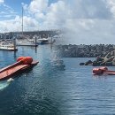 생명의 바다 1.2 이미지