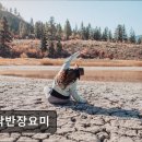 오락반장요미