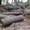 신의한수농장 이미지