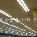 그린조명마트 이미지