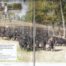 육림축산 이미지