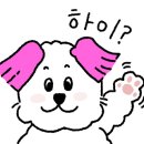 멍멍이미용실 이미지