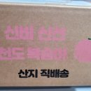 아들셋맘과일