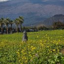 신례동로 이미지