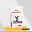 위드피시 이미지