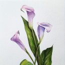 샛별미술교습소