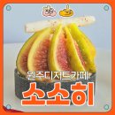 소소히 | [원주 신상 카페] 소소히 후기