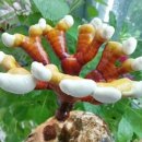 현석농장 이미지