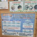 숲 | 동두천 놀자숲 후기 / 겨울에도 실내에서 신나게~ 6시간 이용기