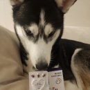 휴먼아이케어 이미지