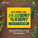 도안대한민국공인중개사사무소 네이버블로그