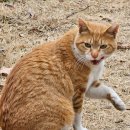 상일로 15길 이미지