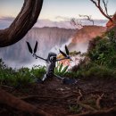 실용영어회화 (고급) 이미지