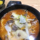 혼밥선생 - 강남구 | 혼밥선생
