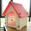 쥬펫코리아 이미지