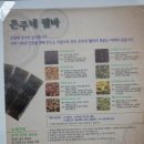 은주네 웰바