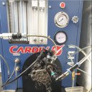 애니카랜드문학점 이미지