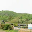 라온부동산중개사무소 이미지