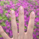 포쉬네일 홈플러스세종점