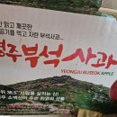 부석사 농산물센터 꿀 영주사과 후기