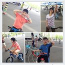 이성자농장 이미지