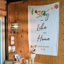 메종카누네 이미지