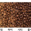 코핸디 이미지