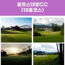 알프스대영 골프빌리지 티스토리