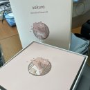사쿠라(SAKURA) 이미지