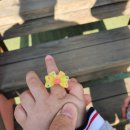 미키월드랜드어린이집 이미지