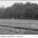 테뫼산성 이미지