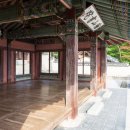 흑석리 강변정자옆 | "1000원 지폐 속 그곳"... 낙동강 위 시사단, 얼음 위 떠 있는 정자 장관