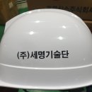 (주)세명기술단