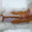 해피한방병원 이미지