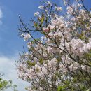 사리마을회관 이미지