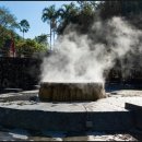 온천중앙로 이미지