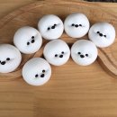 비숑이즈 이미지