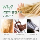 해빛헤어펌
