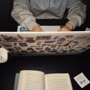 분당-274 | 성남 인비저블커피 분당서현점 분위기 좋고 노트북 작업하기 좋은 카페 후기