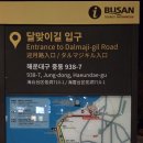 CU로데오 이미지