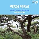 백족사 - 1210 | 소원을 빌어봐~! 청주 백족산 백족사 그리고 삼지송