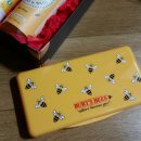 베이비비(baby_bee) 이미지