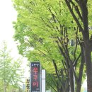 한남쭈꾸미 네이버블로그