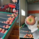 과수원집 이미지