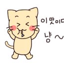 경성보쌈 이미지