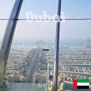 치킨이남달라 | 두바이 패키지여행 3박 6일 후기, 노옵션·노쇼핑 진짜 편했던 트립빌리지